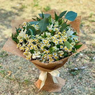 Букет из ромашек и альстромерий