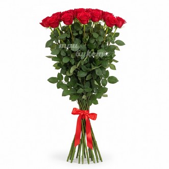19 высоких роз на 2 метра