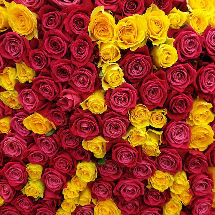 Сердце из роз 1001 шт. (приближенный вид)