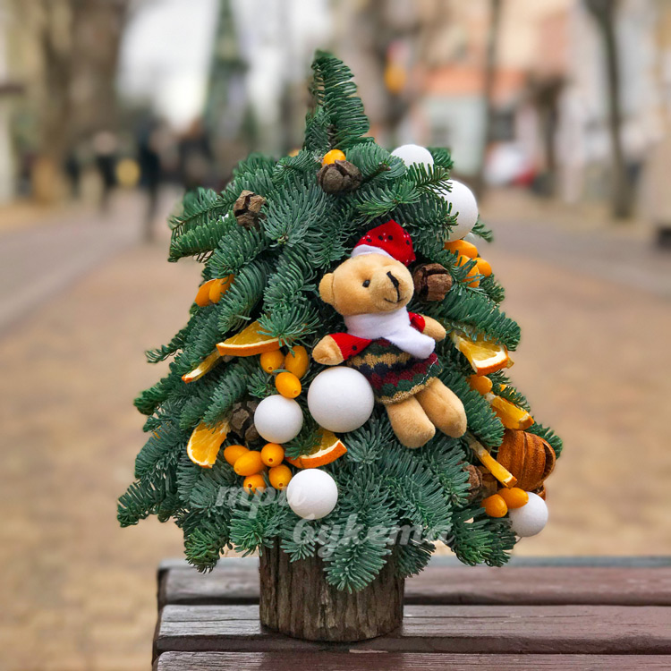 Елочка из нобилиса с апельсинами