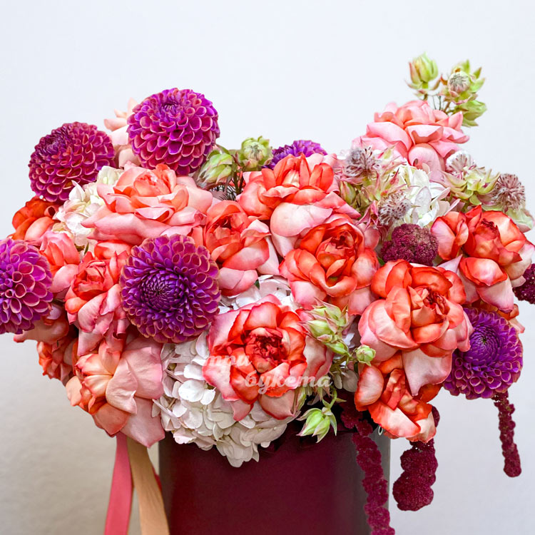 Коробка ярких французских роз и георгинов (крупный план)